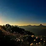 Alpinresort 4* Damuels