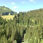 Aparthotel Alpinresort Damuels