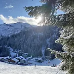 Alpinresort 4* ダーミュルス