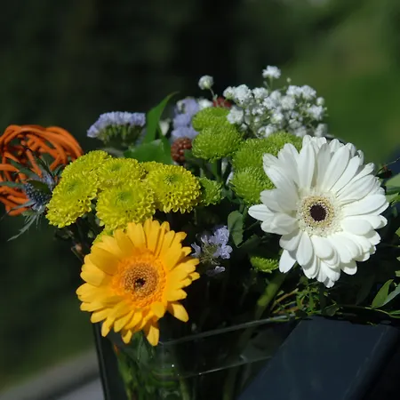 Alpinresort Aparthotel 4*