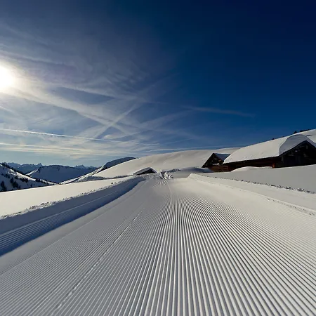 Alpinresort Damuels
