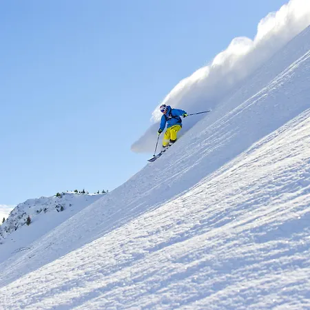 Aparthotel Alpinresort