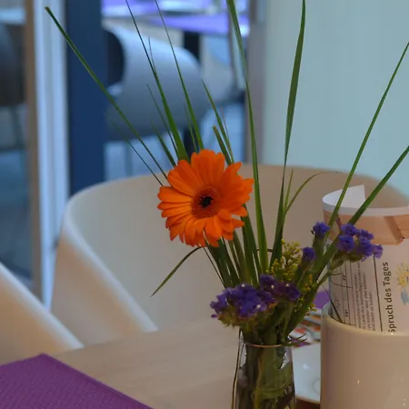 Aparthotel Alpinresort Damüls