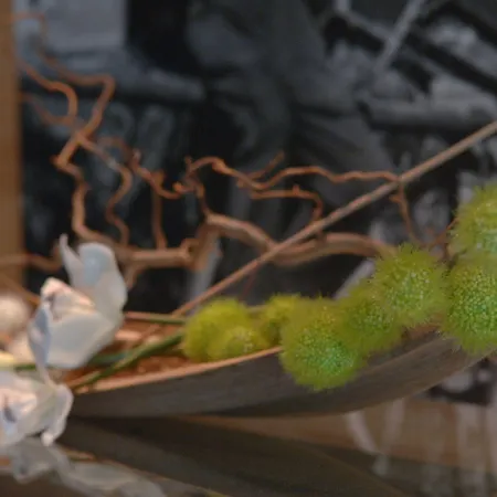 Alpinresort 4* Damüls