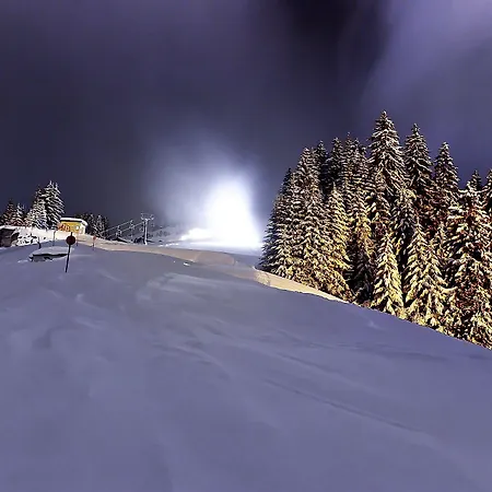 Alpinresort Aparthotel Damüls