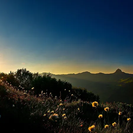 Alpinresort 4* Damüls