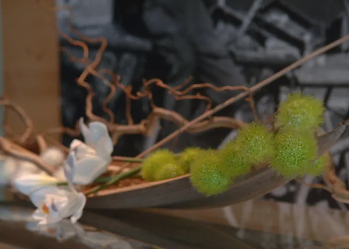 Alpinresort 4* Damuels