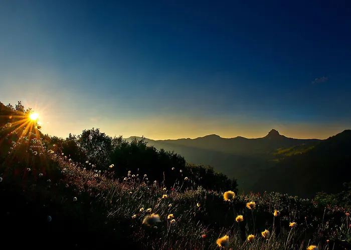 Alpinresort 4* Damuels